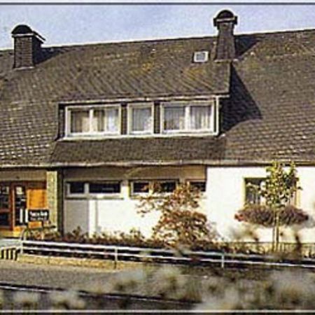 Pension Braun Winterberg Ngoại thất bức ảnh